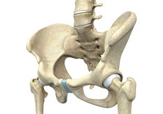 Hip Cartilage Repair