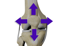 Patellar Tracking Disorder/Patellar Maltracking